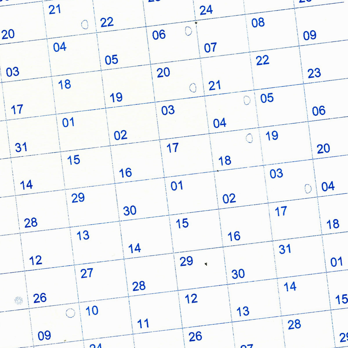PRE-ORDER: 2027 "Year in View" Calendar A3 Print