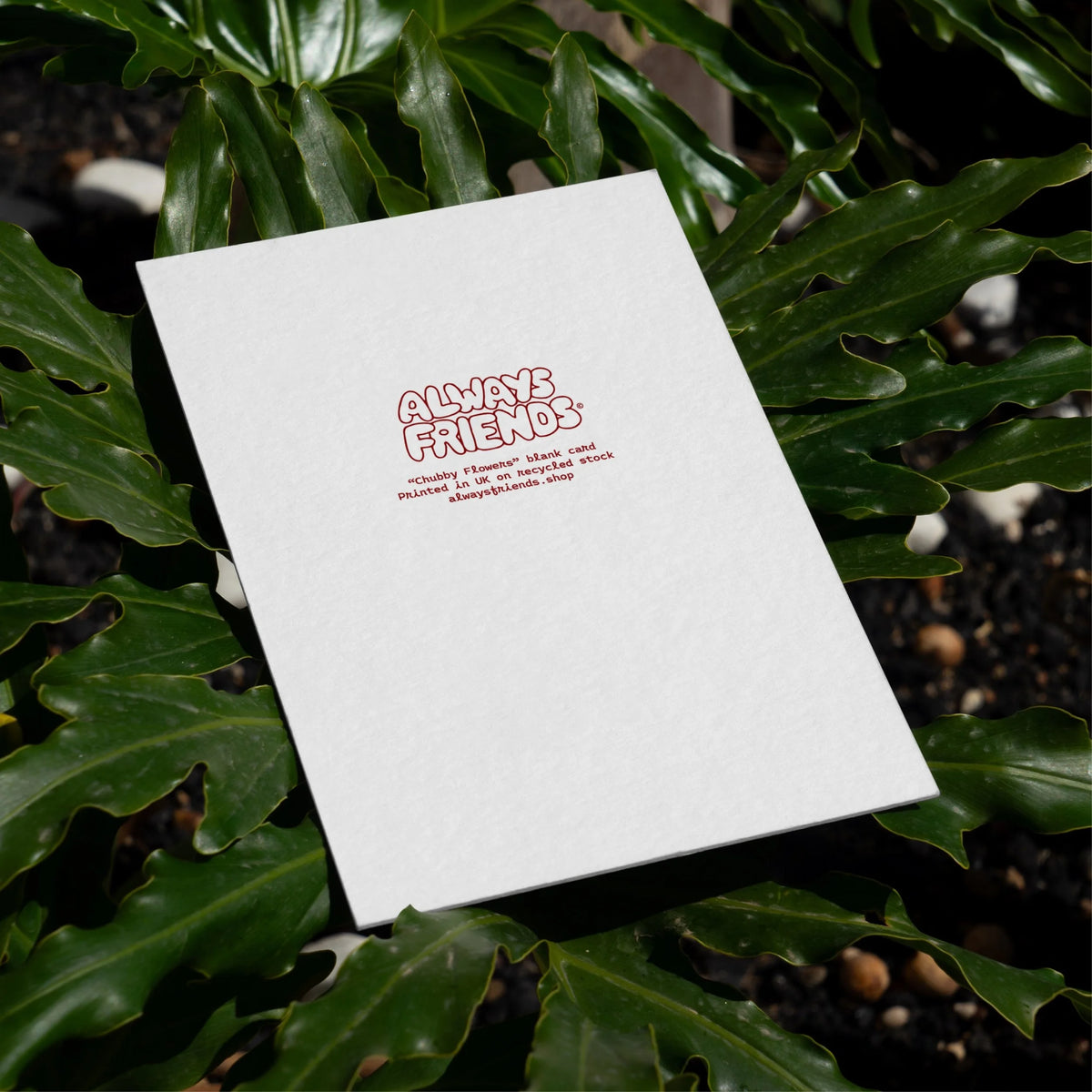 "Chubby Flowers" Blank Greeting Cards