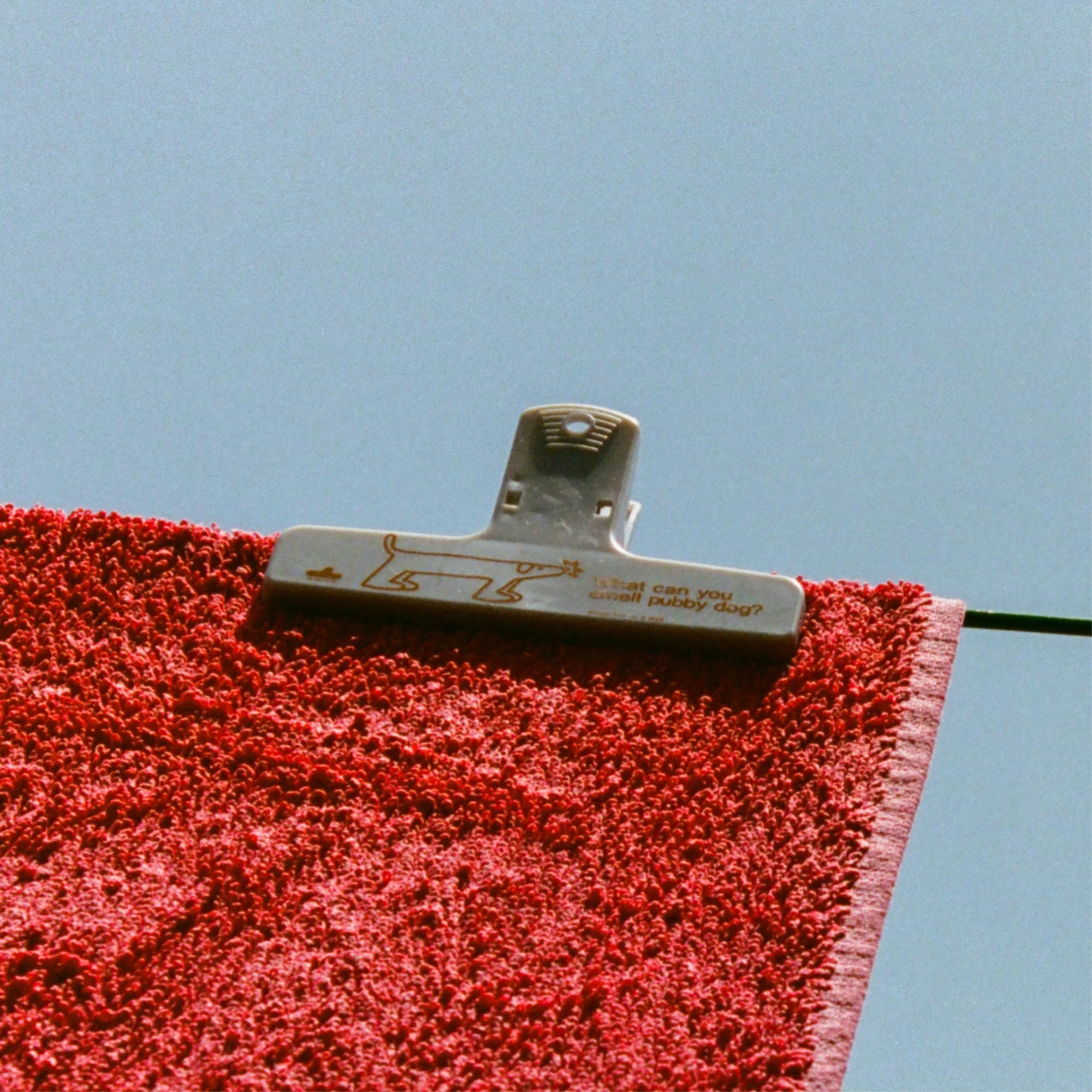 "Pubby Dog" - Plasticlip [3 Colours]
