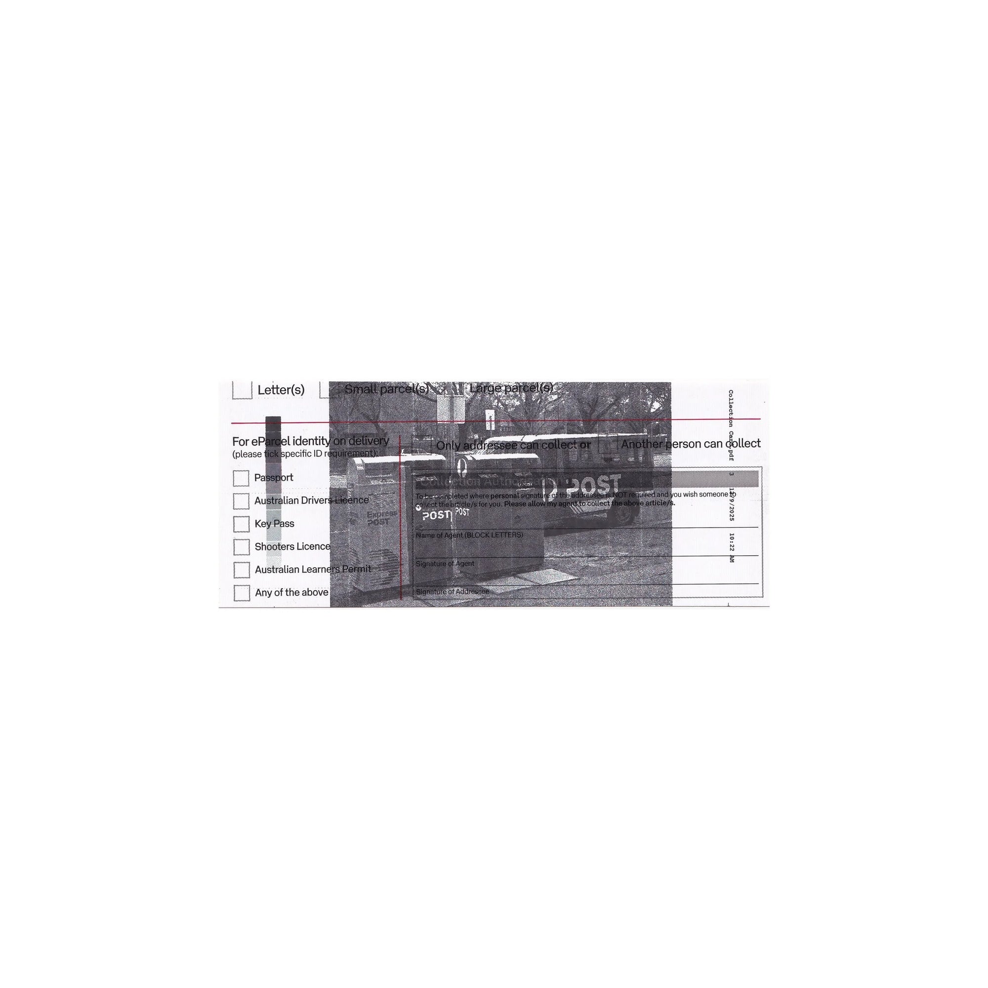 Castlecrag Gets the Mail (Zine & Print Set)