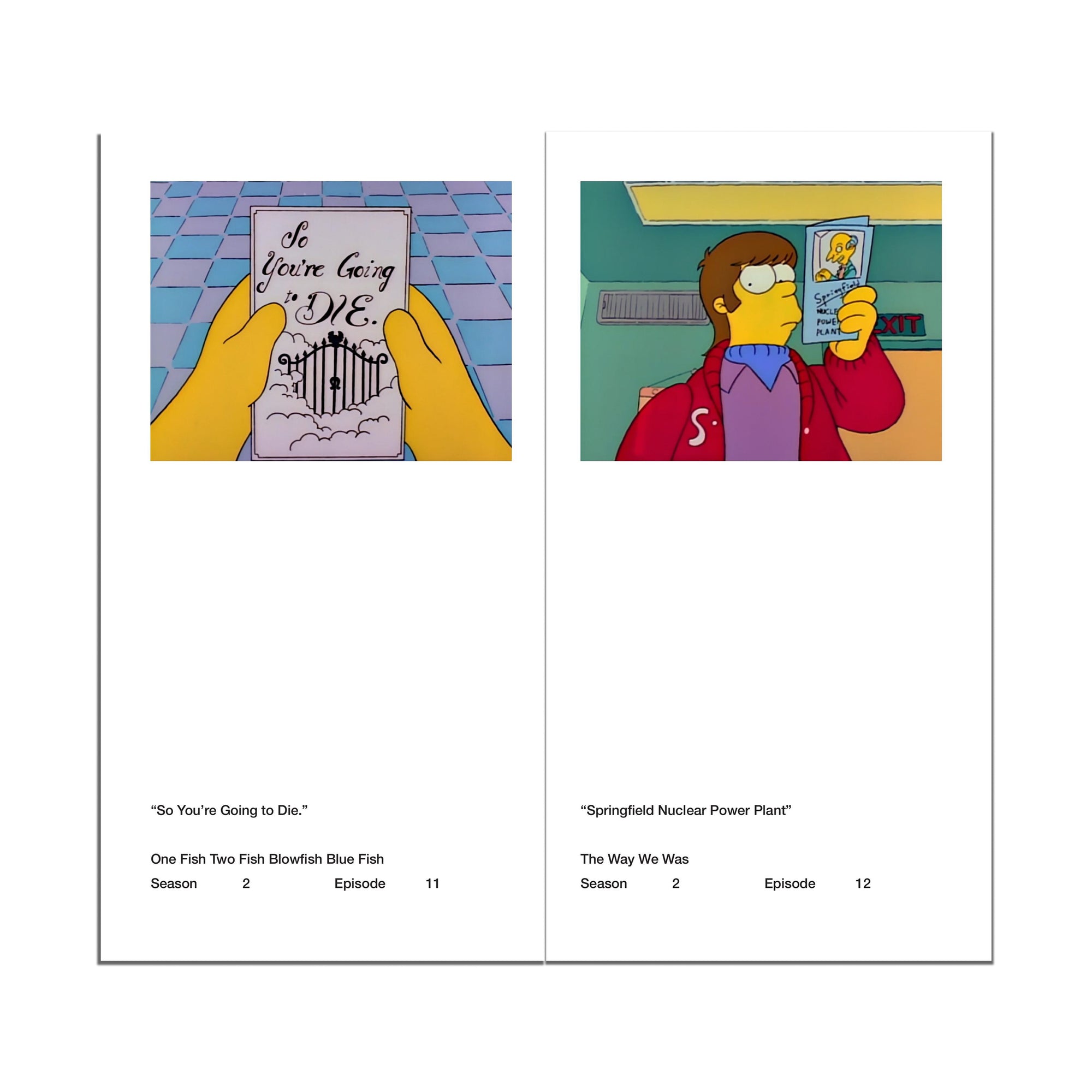 So You've Purchased a Simpsons Pamphlet Zine
