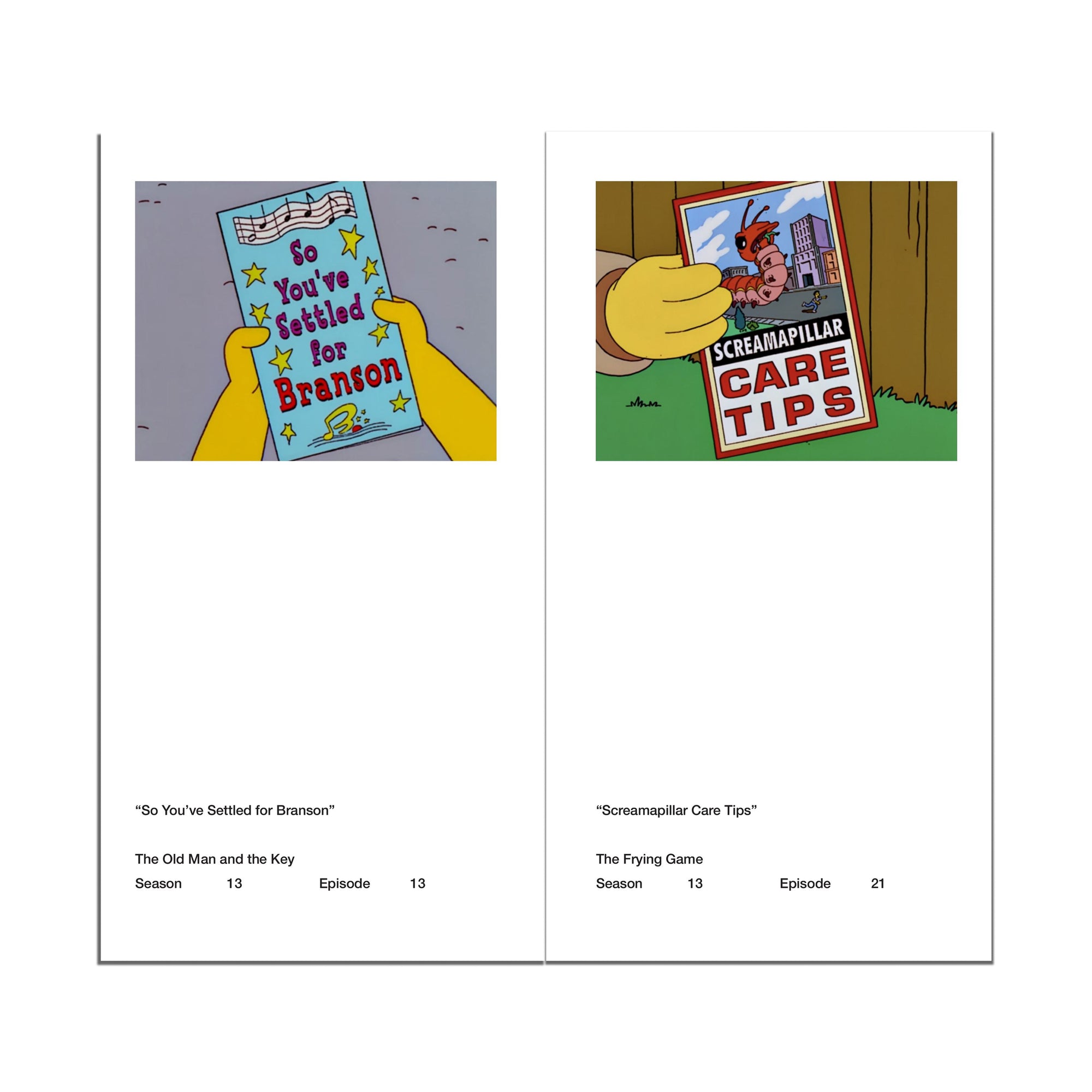 So You've Purchased a Simpsons Pamphlet Zine
